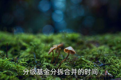 基金什么時候拆分，基金一般在什么時候拆分或分紅
