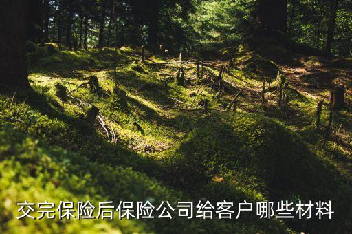 交完車險都給什么東西，交完保險后保險公司給客戶哪些材料