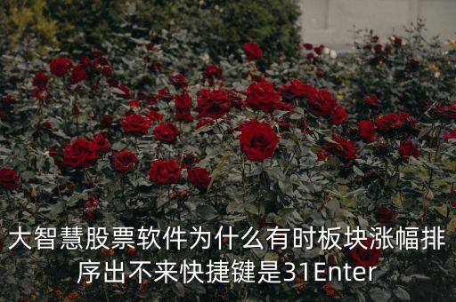 板塊排不按什么鍵，大智慧股票軟件為什么有時板塊漲幅排序出不來快捷鍵是31Enter