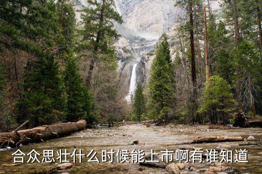 合眾思?jí)咽裁磿r(shí)候復(fù)牌，合眾思?jí)咽裁磿r(shí)候能上市啊有誰(shuí)知道