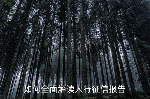 人行報告是什么意思，人民銀行的征信報告有什么作用和意義