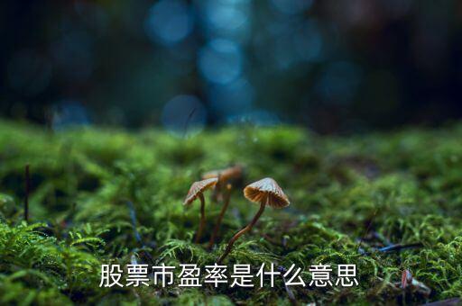 股票中的市盈率是什么意思，什么是股票市盈率