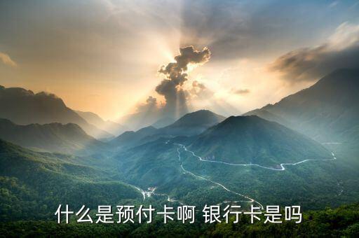 什么是預(yù)付卡受理業(yè)務(wù)，什么是預(yù)付卡啊 銀行卡是嗎