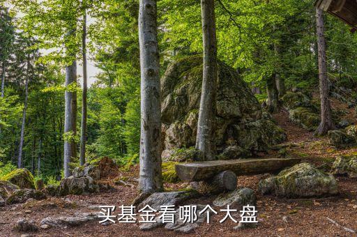 基金看什么大盤走勢，買基金看哪個(gè)大盤