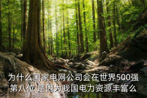 為什么國家電網公司會在世界500強第八位 是因為我國電力資源豐富么