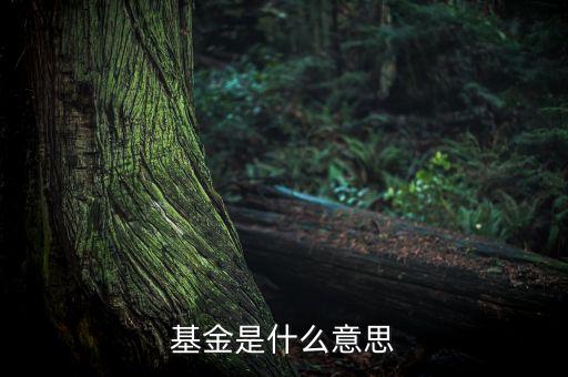 一張圖看懂什么是基金，什么是基金