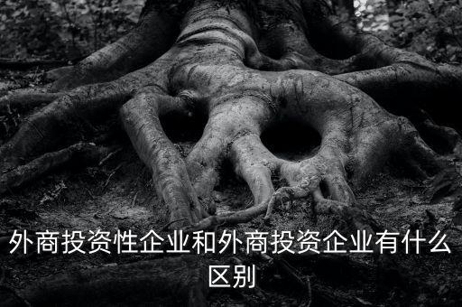 什么是投資性公司，外商投資性企業(yè)和外商投資企業(yè)有什么區(qū)別