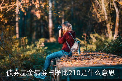 基金中的占凈比什么意思，債券基金債券占凈比210是什么意思