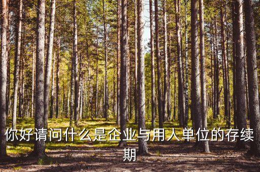 什么叫存續(xù)合同，法律上所謂的續(xù)存是什么意思