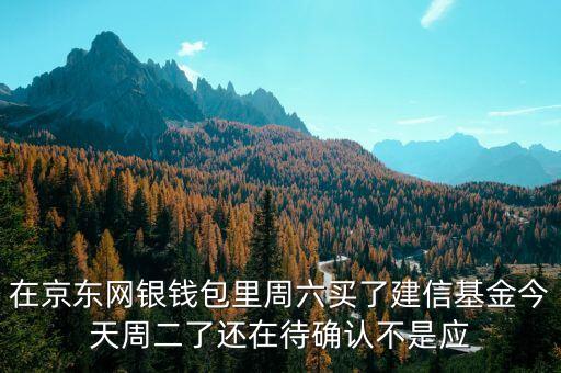 002378建信什么時候確認份額，在京東網銀錢包里周六買了建信基金今天周二了還在待確認不是應