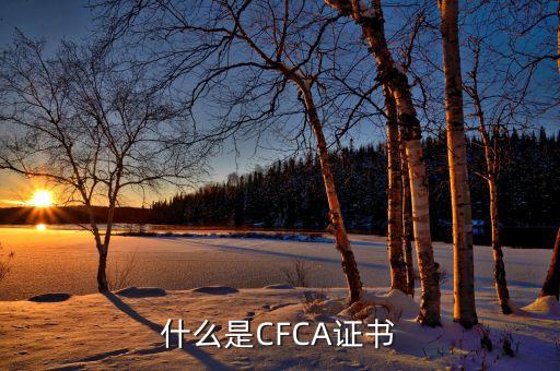 廣金所是什么，resign是什么意思