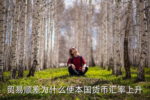 為什么貿(mào)易順差會(huì)導(dǎo)致匯率上漲，貿(mào)易順差為什么使本國(guó)貨幣匯率上升