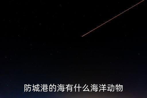 什么是沿邊金融，防城港的海有什么海洋動物