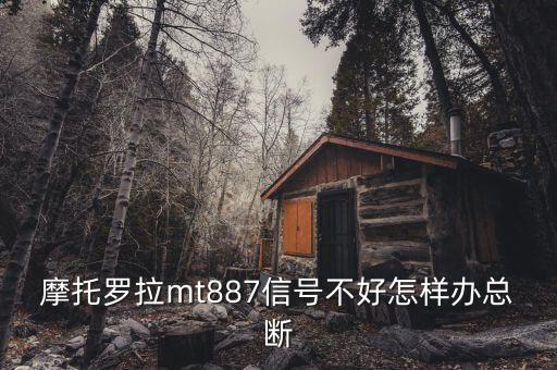 香港為什么要直選，iPhone4 真的會(huì)被三星Galaxy S2i9100秒殺嗎如果給你選你會(huì)選