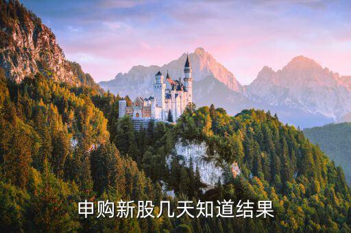 博敏申購(gòu)什么時(shí)候出結(jié)果，申購(gòu)新股幾天知道結(jié)果