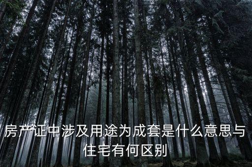 什么是成套項(xiàng)目，什么叫中型成套工程項(xiàng)目
