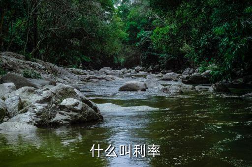 什么叫做利率，什么叫做利率