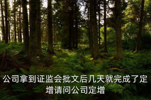 002194定向增發(fā)股票什么時候?qū)嵤善倍ㄏ蛟霭l(fā)預(yù)案到實施一般需要多少天