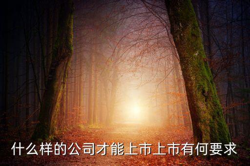 什么樣的公司可以上市，什么樣的公司才能上市上市有何要求