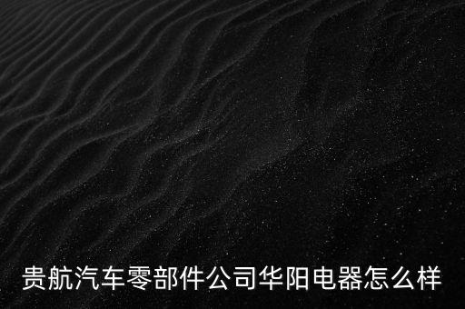 貴航集團華陽電工廠是什么企業(yè)，貴航汽車零部件公司華陽電器怎么樣