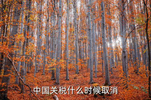 中國什么時(shí)候取消關(guān)稅，中國應(yīng)該在哪年取消關(guān)稅