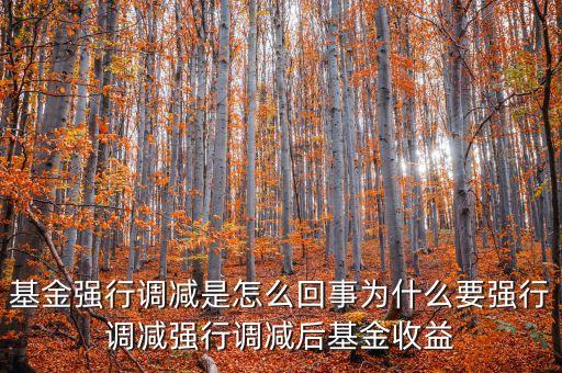 基金強(qiáng)減會(huì)對(duì)基金產(chǎn)生什么影響，強(qiáng)行調(diào)減對(duì)原有基金持有人是否有損害