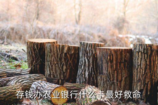 農(nóng)業(yè)銀行定存10萬辦什么卡更好，十萬能在農(nóng)行里辦理一張什么樣的卡呢