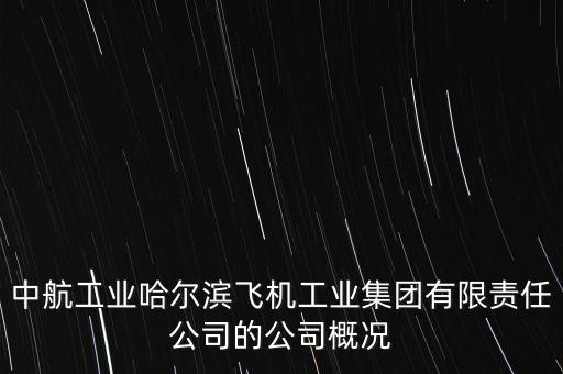 哈飛生產(chǎn)什么飛機，成飛 陜飛 哈飛 沈飛那個是中國最大的飛機制造企業(yè)