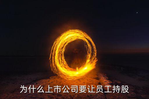 公司強迫員工入股的動機是什么，4個人的公司要求員工入股是什么目的