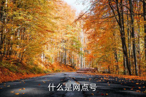 什么是網(wǎng)點(diǎn)號