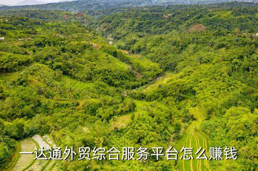 一達(dá)通靠什么盈利，阿里巴巴 一達(dá)通 利潤(rùn)怎么提出