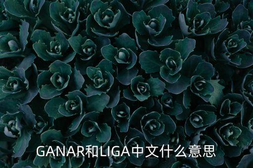 人民幣勝什么意思，韓版惡作劇之吻高中畢業(yè)勝祖跟哈妮照相時(shí)勝祖說(shuō)的錢是什么意