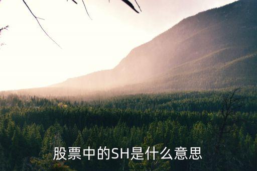 股票中SH6代表什么，股票里的這些都代表什么意思AH NH CDP NL AL