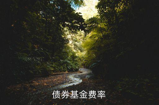 債券基金費(fèi)率什么意思，債券基金費(fèi)率