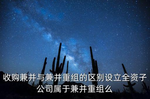 新設(shè)立子公司算什么合并，新設(shè)立1全資子公司算同1控制下合并