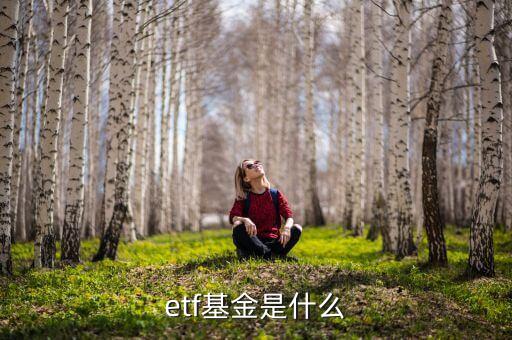 etf是什么類型的基金，ETF是什么