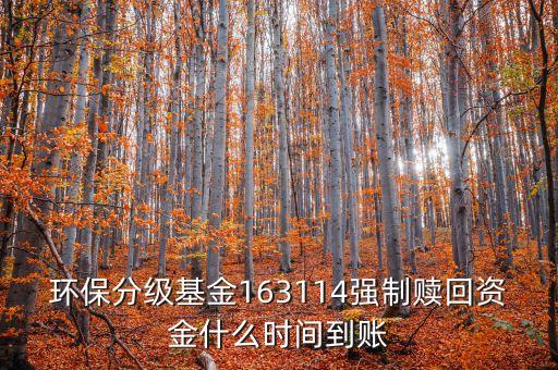 163114什么時(shí)候開(kāi)盤(pán)，163114是個(gè)什么玩意啊賣(mài)也賣(mài)不出
