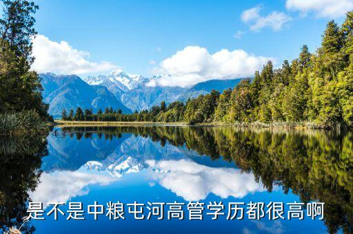 中糧張東風(fēng)什么級別，蒙牛的股權(quán)結(jié)構(gòu)中糧和它是什么關(guān)系高層主管分別是誰