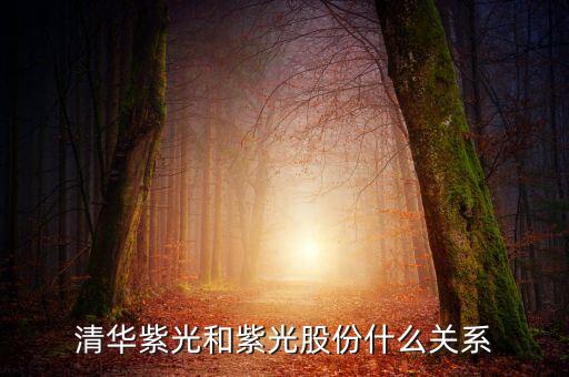 清華大學紫荊控股是什么公司，清華紫光的商標到底是什么
