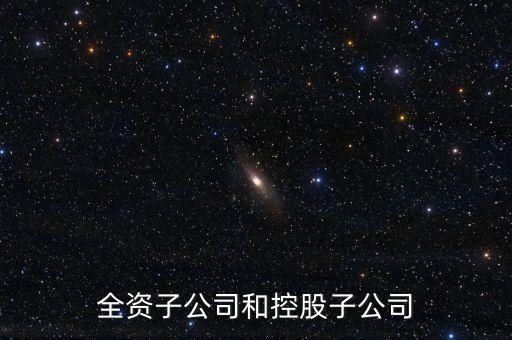全資控股子公司是什么意思，全資子公司是怎么意思啊