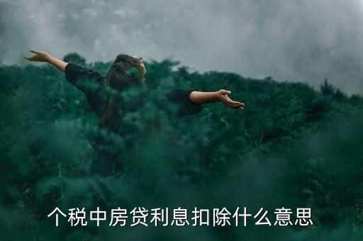 房貸利息抵扣個稅什么意思，個稅中房貸利息扣除什么意思