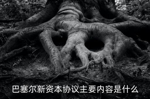 新資本協(xié)議是什么，新巴塞爾資本協(xié)議的介紹