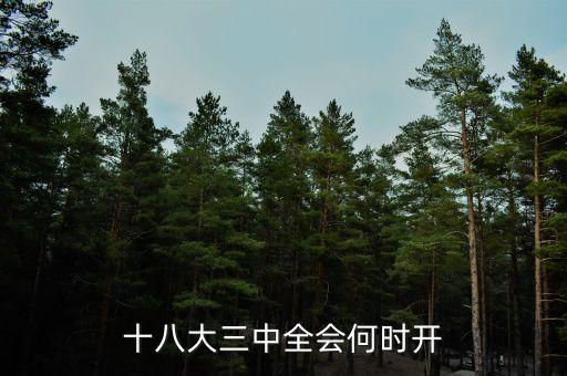 十八屆三中全會什么時候開，十八大三中全會何時開