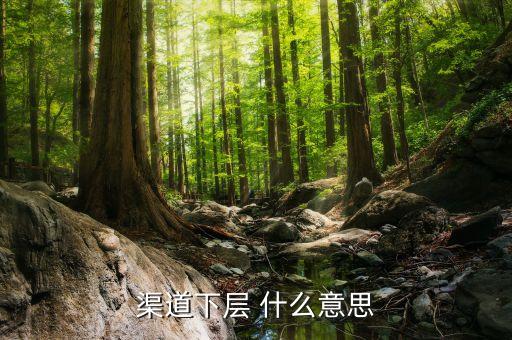 客戶下沉什么意思，用戶下沉是什么意思