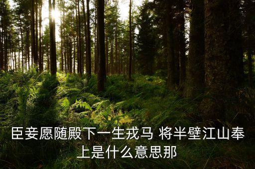 打下半壁江山什么意思，半壁江山的意思是