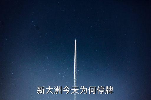 新大州a什么時候復牌，公告出來了請懂行的解釋一下什么時候可以復牌