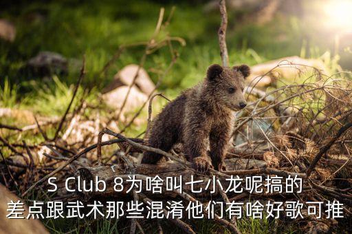 什么決定 空降 經(jīng)理人，有一句歌詞是如果我沒(méi)記錯(cuò)的話(huà)i never never never let you go英文