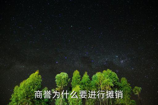 什么叫萊士商譽(yù)攤銷(xiāo)，具體到商譽(yù)攤銷(xiāo)是怎么個(gè)情況商譽(yù)的高低代表了什么