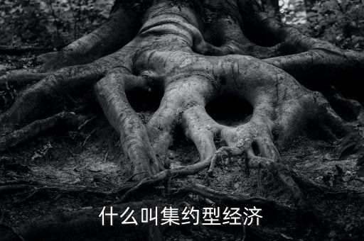 什么叫產(chǎn)融結(jié)合，什么叫集約型經(jīng)濟(jì)