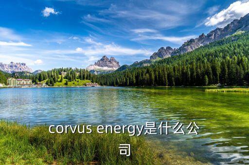 凱富能源是什么公司，corvus energy是什么公司